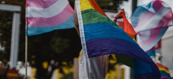 Scene u video tramvaju gay seksi Politička korektnost